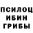 Галлюциногенные грибы Psilocybine cubensis TAGISOY TUNCAY