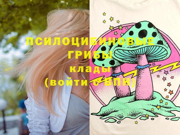 прущий лед Богородицк