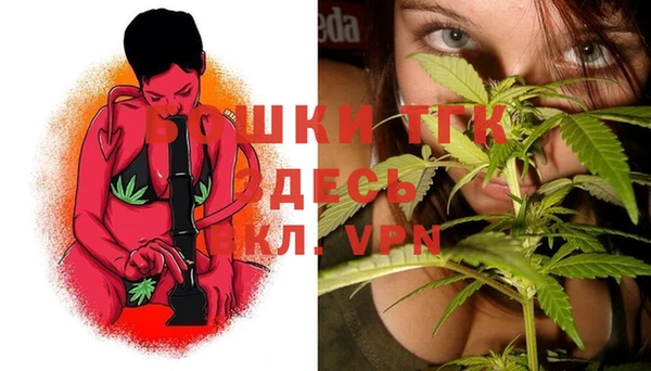 стафф Богданович