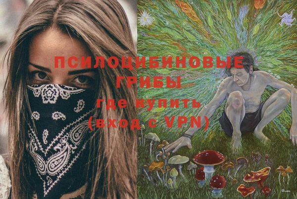 стафф Богданович