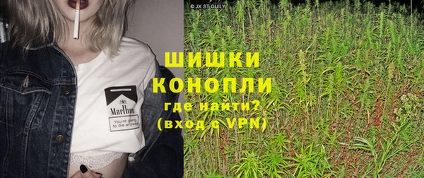 стафф Богданович