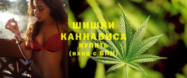 стафф Богданович